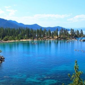 Meet your Posher, Shade